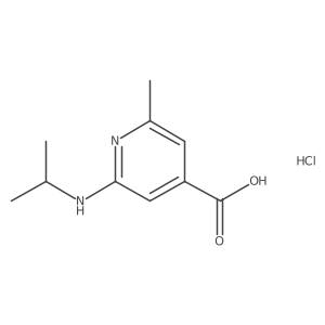 2-(Isopropylamino)-6-methylisonicotinic acid hydrochloride Structure