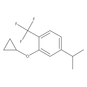 1243377-49-2 structure