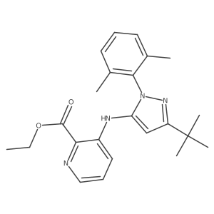 ethyl 3-{[3-tert-butyl-1-(2,6-dimethylphenyl)-1H-pyrazol-5-yl]amino}pyridine-2-carboxylate Structure