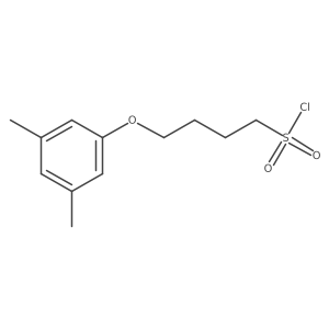 4-(3,5-Dimethylphenoxy)butane-1-sulfonyl chloride结构式