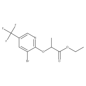 2748365-93-5 structure