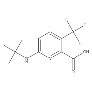 6-(Tert-butylamino)-3-(trifluoromethyl)pyridine-2-carboxylic acid Structure