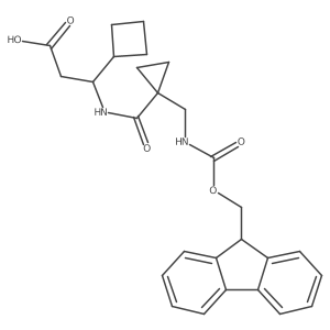 2172047-70-8 structure