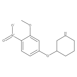 3-(3-Methoxy-4-nitrophenoxy)piperidine Structure