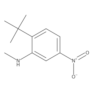 2-tert-butyl-N-methyl-5-nitroaniline结构式
