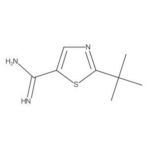2-(tert-Butyl)thiazole-5-carboximidamide结构式