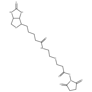 1260092-31-6 structure