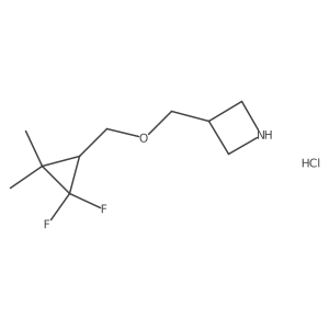3-{[(2,2-Difluoro-3,3-dimethylcyclopropyl)methoxy]methyl}azetidine hydrochloride结构式
