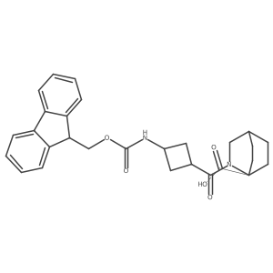 2171202-25-6 structure