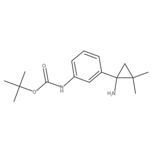 tert-butyl N-[3-(1-amino-2,2-dimethylcyclopropyl)phenyl]carbamate结构式