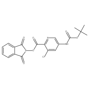 1,3-dioxo-2,3-dihydro-1H-isoindol-2-yl 5-{[(tert-butoxy)carbonyl]amino}-3-chloropyridine-2-carboxylate结构式