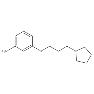 3-[3-(1-Pyrrolidinyl)propoxy]benzenamine Structure