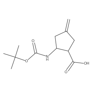 (1RS,2RS)-2-tert-Butoxycarbonylamino-4-methylene-cyclopentanecarboxylic acid结构式