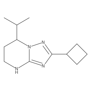 2-cyclobutyl-7-(propan-2-yl)-4H,5H,6H,7H-[1,2,4]triazolo[1,5-a]pyrimidine Structure