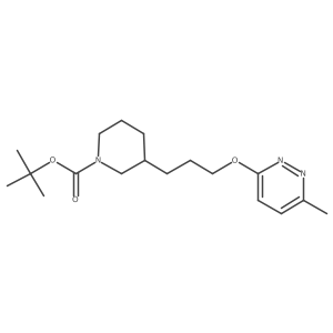 tert-Butyl 3-(3-((6-methylpyridazin-3-yl)oxy)propyl)piperidine-1-carboxylate结构式