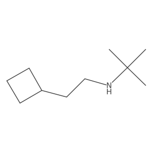 Tert-butyl(2-cyclobutylethyl)amine结构式