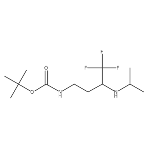 tert-butyl N-{4,4,4-trifluoro-3-[(propan-2-yl)amino]butyl}carbamate结构式