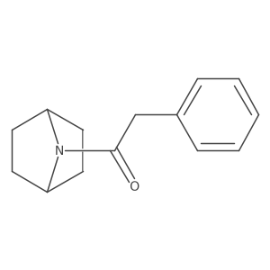 1-{7-Azabicyclo[2.2.1]heptan-7-yl}-2-phenylethan-1-one结构式