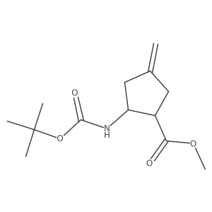 (1RS,2RS)-2-tert-butoxycarbonylamino-4-methylene-cyclopentanecarboxylic acid methyl ester Structure