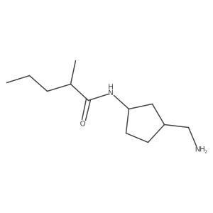 N-[3-(aminomethyl)cyclopentyl]-2-methylpentanamide Structure
