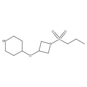 2138172-25-3 structure