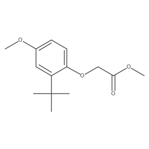 Acetic acid, 2-[2-(1,1-dimethylethyl)-4-methoxyphenoxy]-, methyl ester结构式