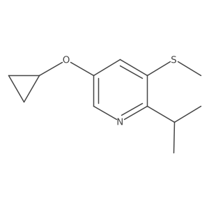 1243382-69-5 structure