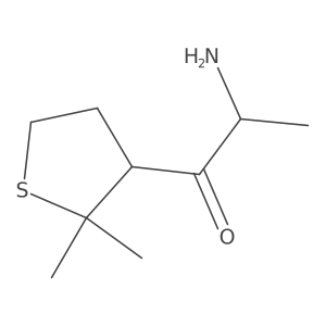 2-Amino-1-(2,2-dimethylthiolan-3-yl)propan-1-one Structure