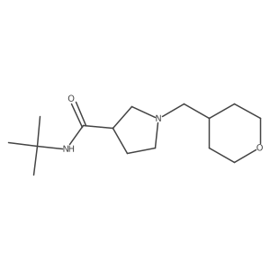 N-tert-butyl-1-[(oxan-4-yl)methyl]pyrrolidine-3-carboxamide结构式