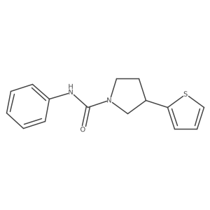 N-phenyl-3-(2-thienyl)pyrrolidine-1-carboxamide结构式