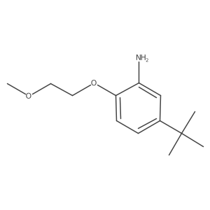 5-tert-Butyl-2-(2-methoxy-ethoxy)-phenylamine结构式
