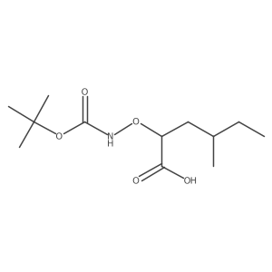 2-({[(Tert-butoxy)carbonyl]amino}oxy)-4-methylhexanoic acid结构式