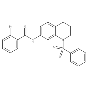 2-bromo-N-(1-(phenylsulfonyl)-1,2,3,4-tetrahydroquinolin-7-yl)benzamide结构式