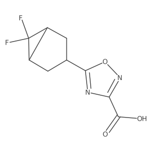 5-{6,6-Difluorobicyclo[3.1.0]hexan-3-yl}-1,2,4-oxadiazole-3-carboxylic acid结构式