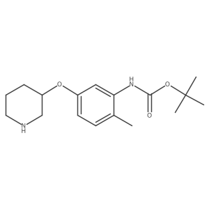 tert-butyl N-[2-methyl-5-(piperidin-3-yloxy)phenyl]carbamate结构式