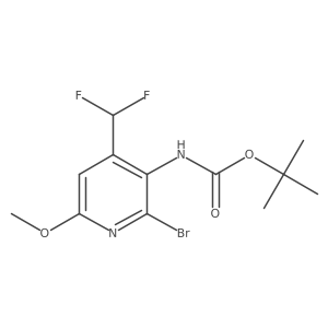 tert-butyl N-[2-bromo-4-(difluoromethyl)-6-methoxypyridin-3-yl]carbamate结构式