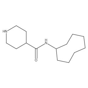 N-cyclooctylpiperidine-4-carboxamide结构式