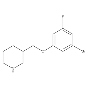 3-[(3-Bromo-5-fluorophenoxy)methyl]piperidine结构式