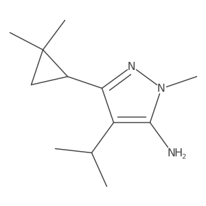 3-(2,2-dimethylcyclopropyl)-1-methyl-4-(propan-2-yl)-1H-pyrazol-5-amine Structure