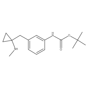 tert-butyl N-(3-{[1-(methylamino)cyclopropyl]methyl}phenyl)carbamate结构式