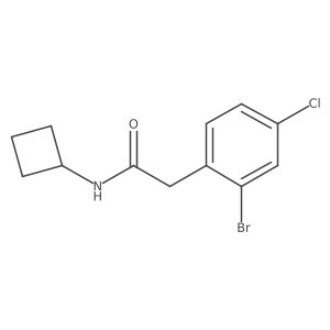 2-(2-Bromo-4-chlorophenyl)-N-cyclobutylacetamide结构式