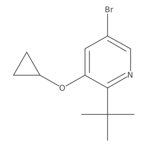 1243370-96-8 structure