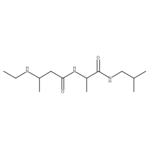 3-(ethylamino)-N-{1-[(2-methylpropyl)carbamoyl]ethyl}butanamide Structure