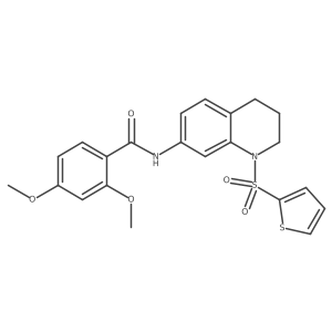 2,4-dimethoxy-N-(1-(thiophen-2-ylsulfonyl)-1,2,3,4-tetrahydroquinolin-7-yl)benzamide Structure