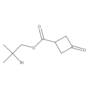 2169305-56-8 structure