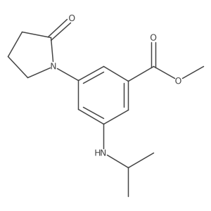 Methyl 3-(isopropylamino)-5-(2-oxopyrrolidin-1-yl)benzoate Structure