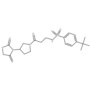 4-(tert-butyl)-N-(3-(3-(2,4-dioxooxazolidin-3-yl)pyrrolidin-1-yl)-3-oxopropyl)benzenesulfonamide Structure