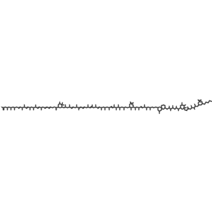 Zooxanthellamide A结构式