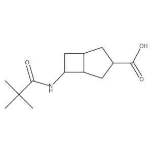 6-(2,2-Dimethylpropanamido)bicyclo[3.2.0]heptane-3-carboxylic acid Structure