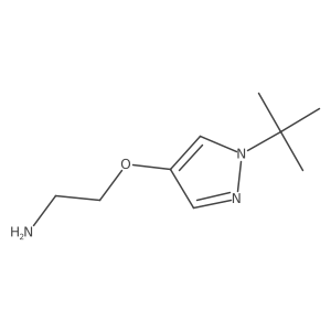 2-[(1-tert-Butyl-1H-pyrazol-4-yl)oxy]ethan-1-amine结构式